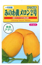 黄色いマクワウリがジューシー最高！今週の野菜 7 31-8 6HOMEMAKERS Farm & Cafe小豆島、有機野菜・ジンジャーシロップ