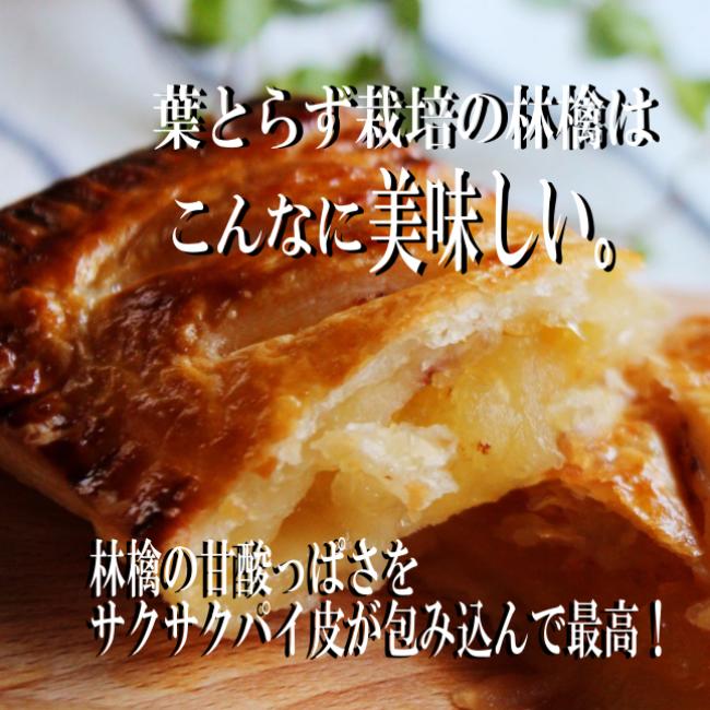 青髪のテツ りんごを100パー堪能するなら「輪切り」で“皮ごと”が最強！選び方とオススメ品種もご紹介♪『あたらしい日日』こんな時代のニューノーマルな暮らし方。食と農、生活情報をお届けします