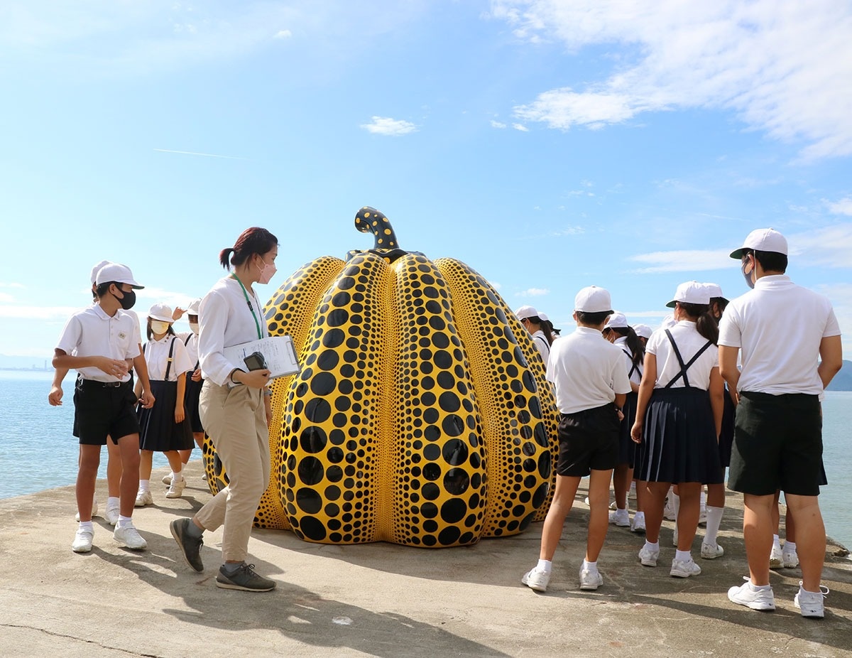 かぼちゃ カボチャ 南瓜