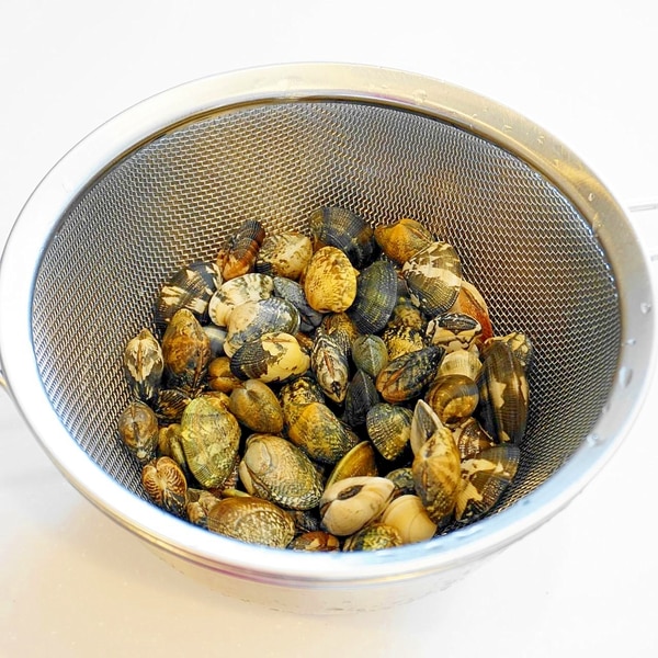 プロ直伝！あさりの砂抜きと海水の塩分濃度