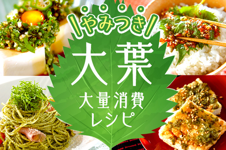 たくさん買って正解！「大葉」「青じそ」を使った絶対リピートレシピ20選キナリノ