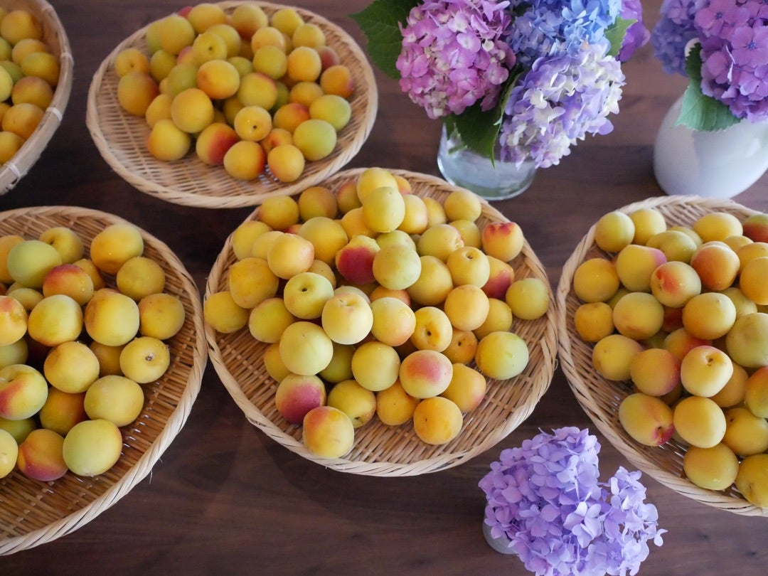 栗原はるみさんの梅干しはなんと氷砂糖入り京都 腸を整えて−10キロ、−10歳をかなえるグルテンフリーの可愛いお菓子教室ミネット