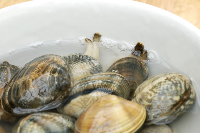 料理のプロが教える『あさりの砂抜きと時間』