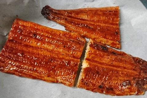 ウナギは“温め方”で一味変わる！魚のプロが実践するおいしい食べ方