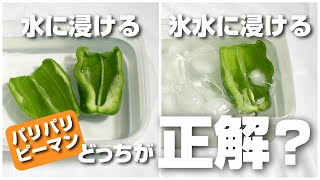 パリパリピーマンブーム到来くりすかよ