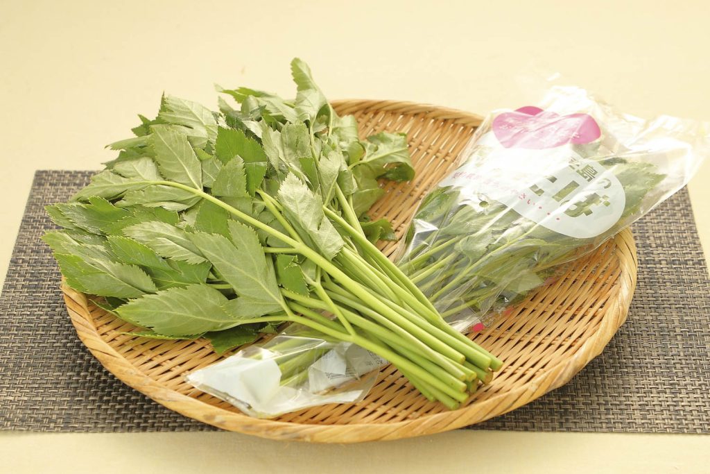 伊豆大島原産の赤軸のアシタバを訪ねて～大島栽培編～＠東京都大島町 Report Seed to Harvest