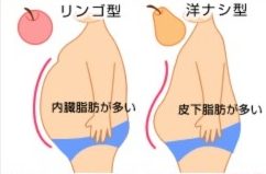 リンゴ型肥満が１番痩せるのはコレ！代謝が○○kcalも低下⁉︎そんな人の効果的なダイエット法とは？ 肥満遺伝子タイプを知ってキレイに痩せる３β－3アドレナリン受容体遺伝子 ADRB3 ‐代々木八幡整体で実績NO1 レゾナンスカイロプラクティック代々木公園