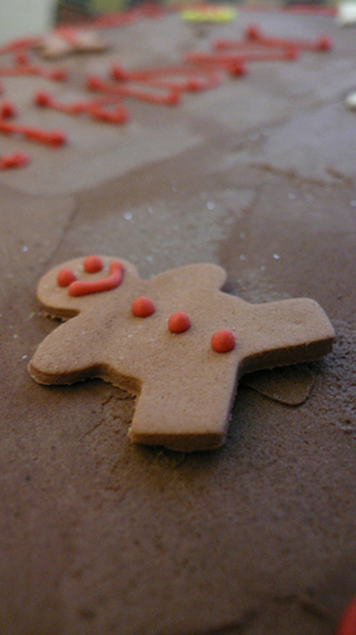 作ってワクワク！飾って楽しい！クリスマスにはジンジャーブレッドクッキーe-gohan