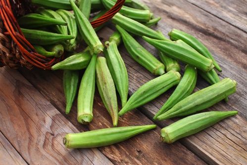 オクラのアブラムシ ？ についての質問です。涼しくなって 園芸相談Q＆Aみんなの趣味の園芸