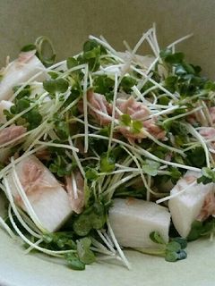 長いもとツナのサラダのレシピ・作り方 簡単＆時短- レタスクラブ