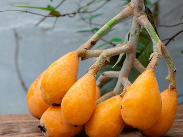 びわの剥き方と皮の活用法！美味しく食べて健康になろうJA長崎せいひ公式オンラインショップ長崎県の特産品のお取り寄せ