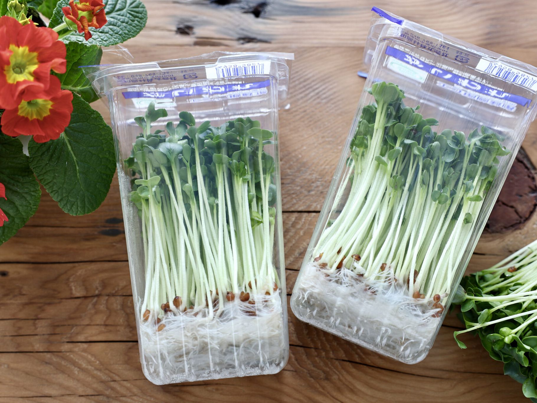 大根は冷凍保存できるって知ってた？保存期間がぐんと伸びる♪使い勝手も◎暮らしニスタ