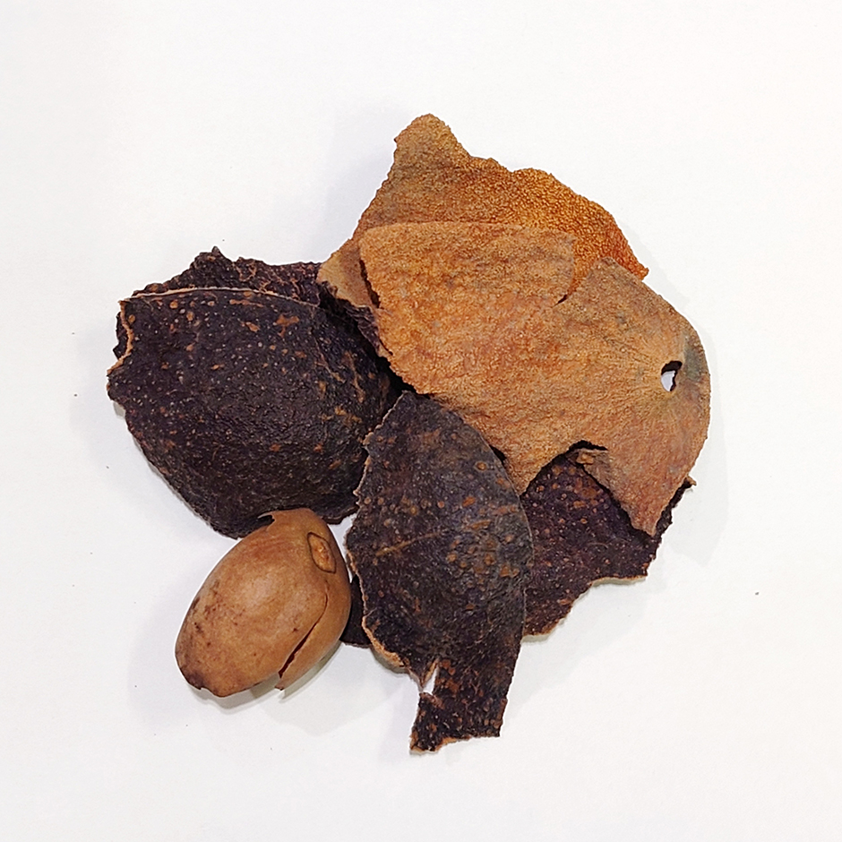 04 草木染め初心者にオススメの アボカド染め