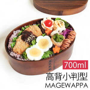 こだわりも詰めて。大人のお弁当おかず和洋中レシピ15選。盛り付けテクも。 - macaroni