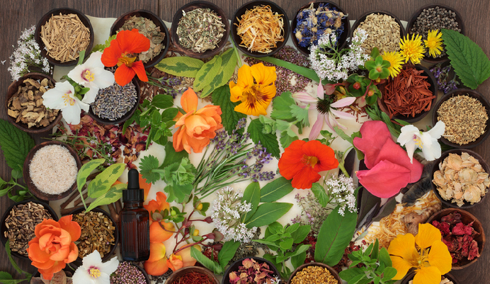 うんぼくたべるよ〜gadogadojpの旅と食のブログ:ナスタチウムを食べましょう