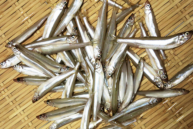 宍道湖七珍料理 – 出雲市でのご宿泊に ホテルながた