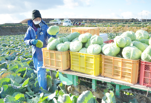 47年の農業人生の中で、今が一番楽しい。3代続く農園の現在と未来。クックマート楽しむ、楽しませる！地域の活気が集まる場所