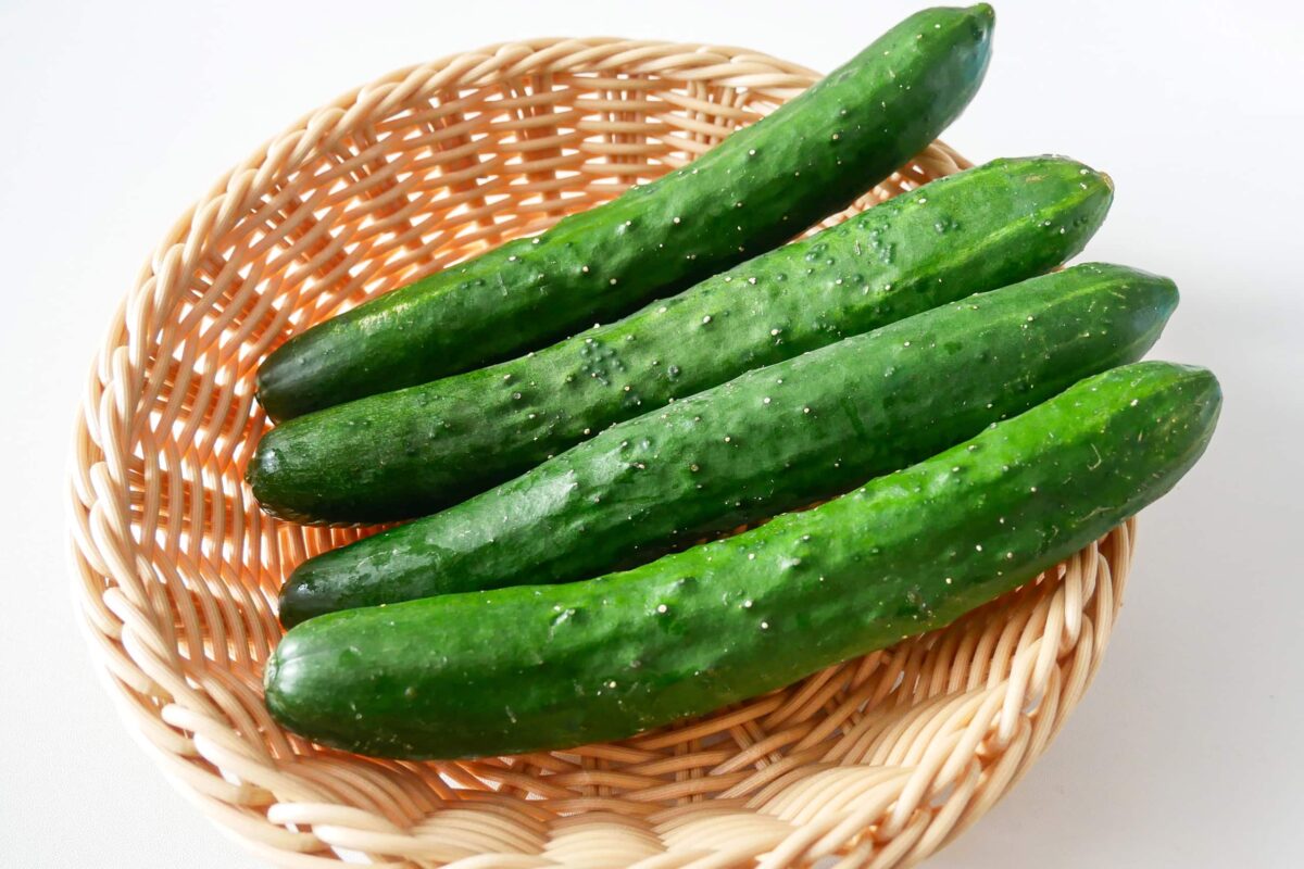 冷やしすぎはNG？ 夏が旬の食材「キュウリ」の保存方法農業とITの未来メディア「SMART AGRI スマートアグリ 」