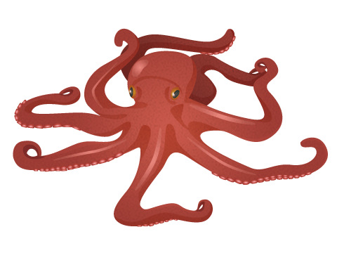 馬も人も能力重視! 魚偏の漢字いくつ知ってる?日本語と酒とサラブレッドは美しい