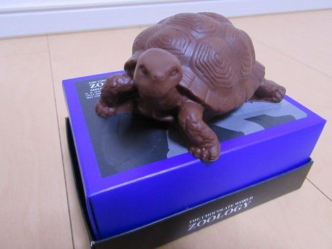 カメの板チョコ チョコレート LINOCONA 通販 5208319Creema クリーマ