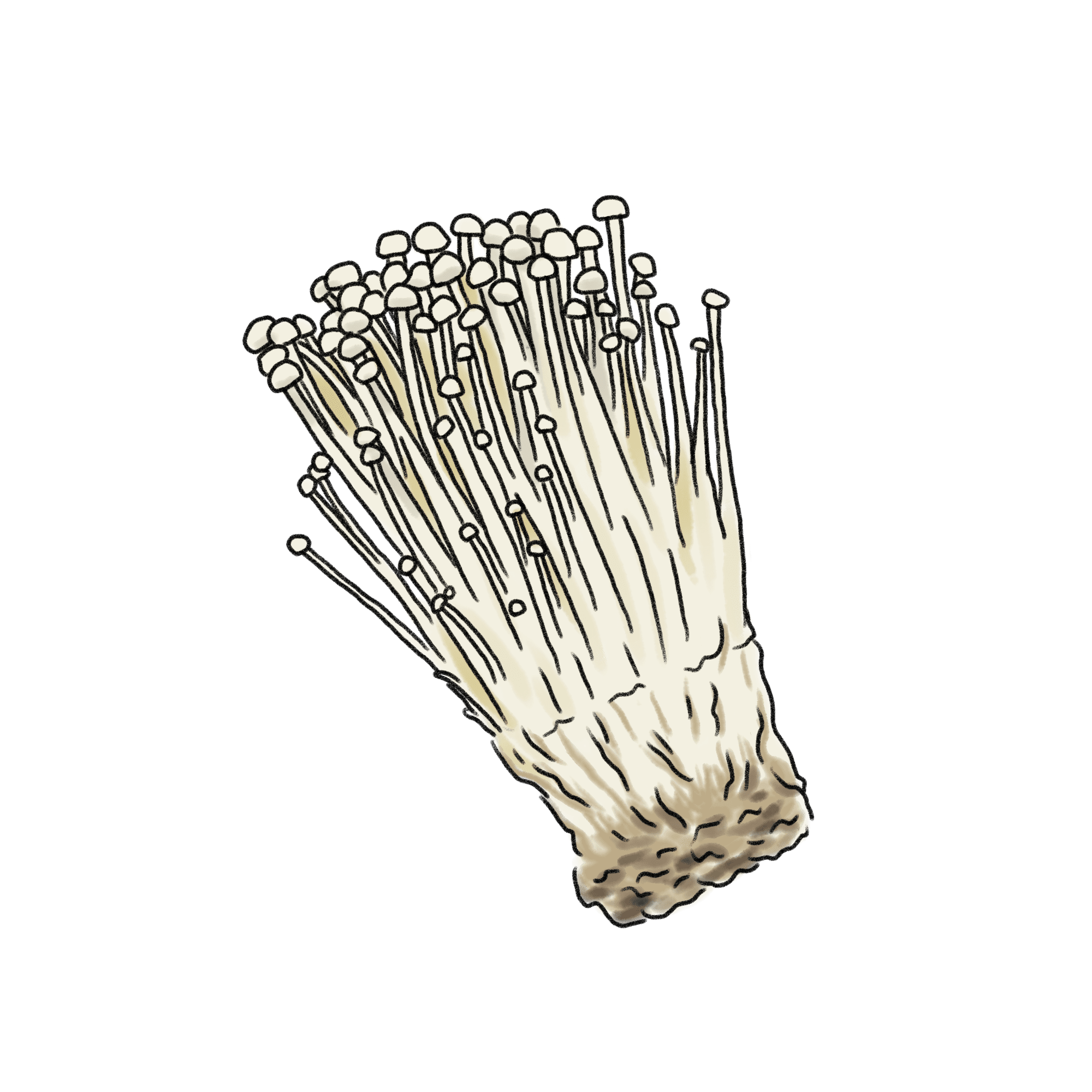 アジアの焼き鳥 きのこのえのきとベーコンを串に刺しアジアのファーストフードやテイクアウトレストランにベクターイラスト - えのきだけのベクターアート素材 や画像を多数ご用意 - iStock