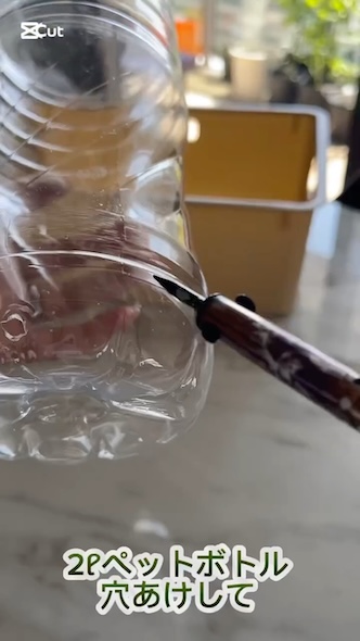 大根とラディッシュのペットボトル栽培に挑戦だい‼️🍀GreenSnap グリーンスナップ