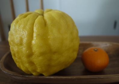 鬼柚子！でジャム作り♪日々の手仕事