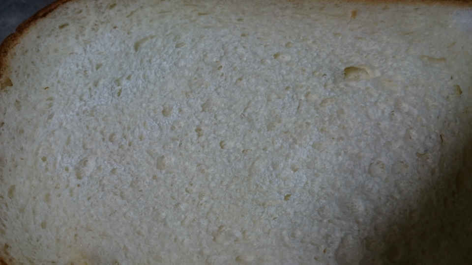 白い背景の上のカビの生えた食パン パン。の写真素材・画像素材 Image 31031757