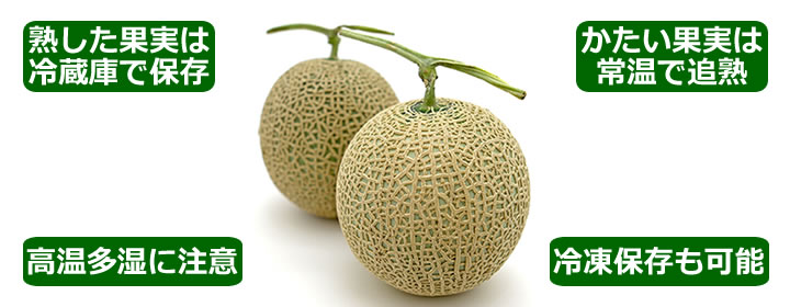 料理の基本！ メロンの冷凍保存方法のレシピ動画・作り方デリッシュキッチン