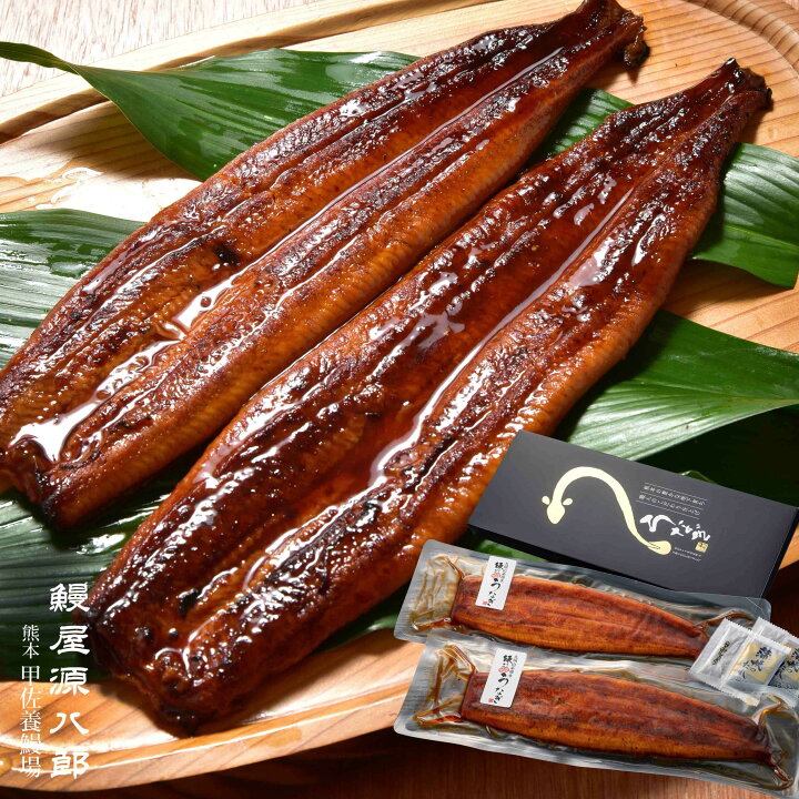 熊本 上乃裏 うな雅 - 熊本市中央区南坪井町 うなぎ料理店 ネット予約OKYahoo!マップ