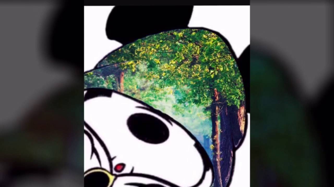 レア 海外ディズニー限定 Chef Mickey ディズニー 料理レシピ ミッキー型のベニエ公式レシピの