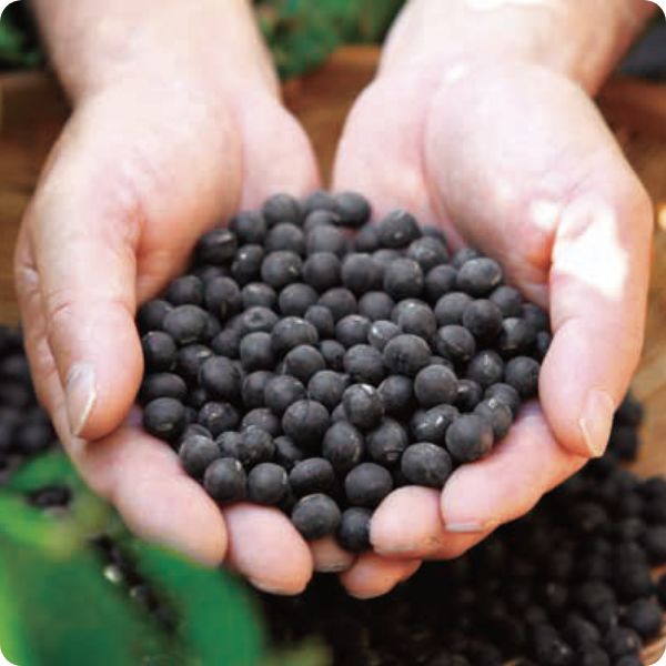 黒豆黒酢 125ml×30本＜機能性表示食品＞通販のベルメゾンネット