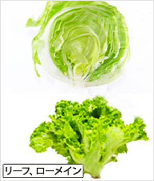 茎レタスの食べ方 かんたんレシピ付 山くらげ ステムレタス イタリア料理教室 東京都小平市マクロ美イタリアンイタリア料理とマクロビオティック融合 整うエネルギー イタリア料理教室 IL Fiore
