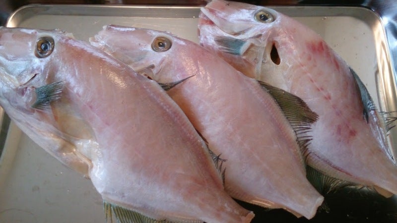 ウマヅラハギの煮付けas