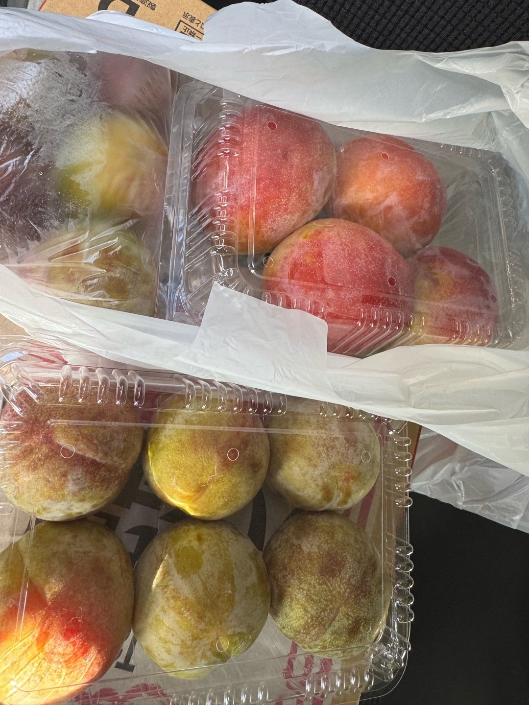 ニュース：自宅に居ながら農園とつながる。産直アウルオンライン農園ツアー第2弾「おいしいマンゴー畑 の秘密ツアー」5月11日12：00～にインスタライブで開催。～熊本県芦北町「たなか果樹園」のマンゴー農園と生中継～