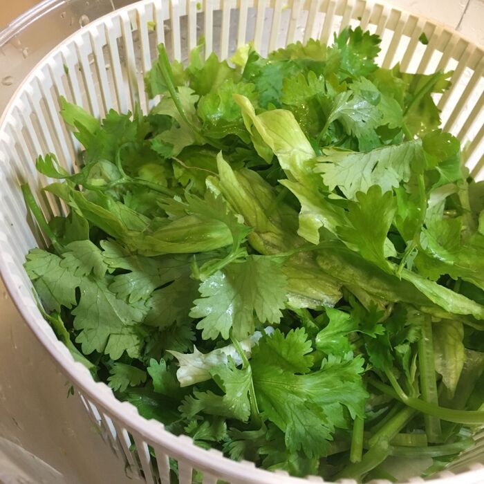 タイ風♪鶏✕たっぷりパクチーの極旨サラダ♪