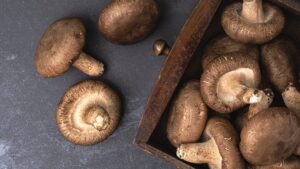 椎茸について詳しい方に質問です。昨日買ってきた椎茸のカサの裏が画- Yahoo!知恵袋