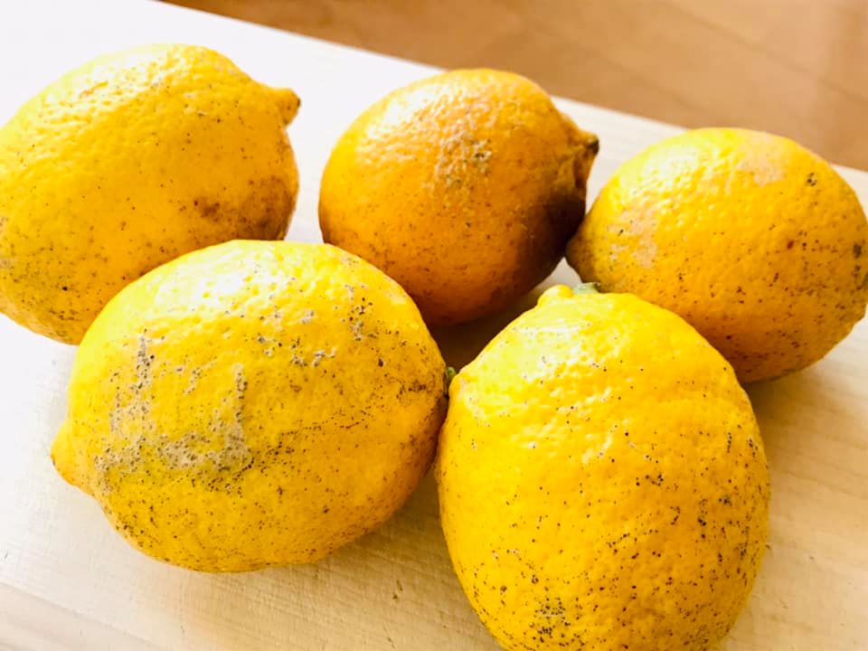 基本からアレンジまで！思わずつくりたくなる「国産無農薬レモン」のレシピ集クックパッド