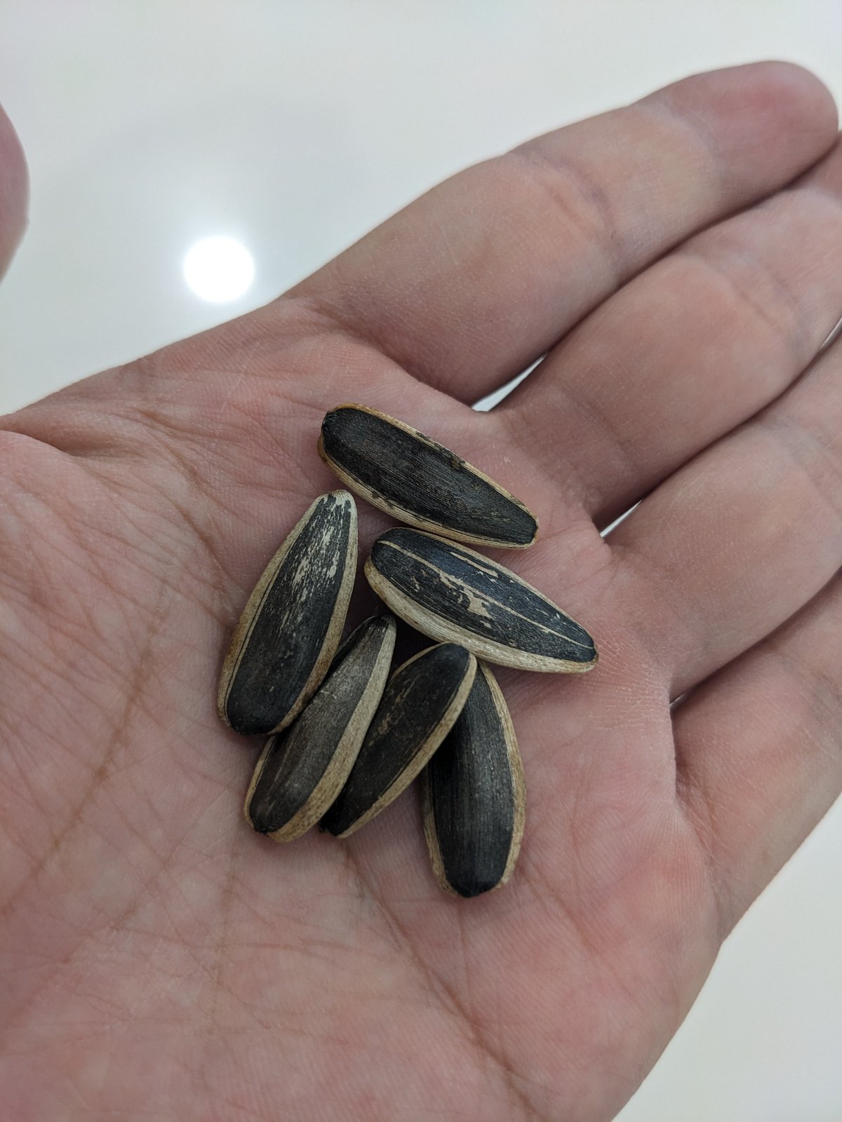 チャチャひまわりの種 ココナッツ味- 商品紹介プロの品質とプロの価格の業務スーパ