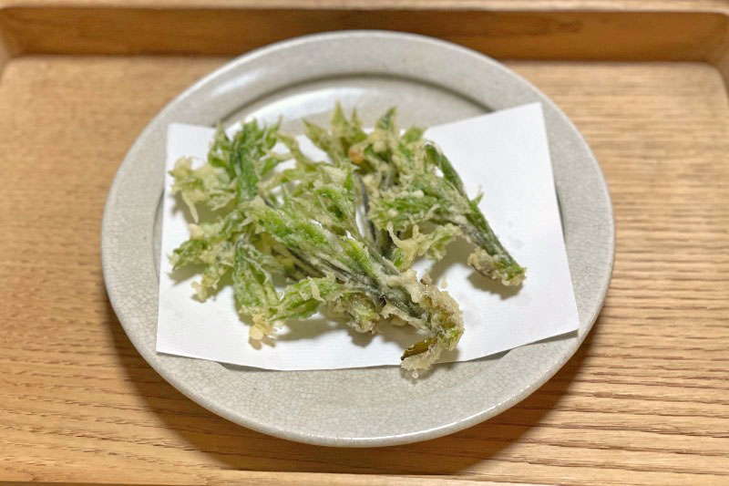 山菜のたのしみみんなとカゴメでつくるコミュニティ ＆KAGOME アンドカゴメ