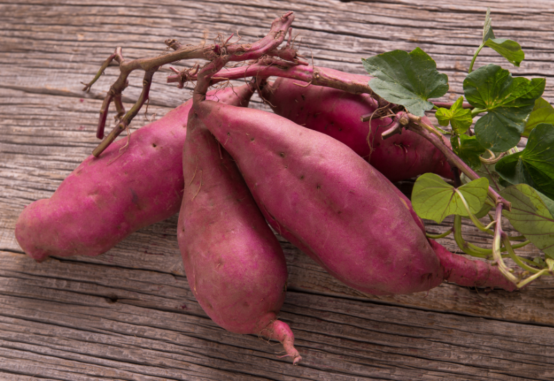 さつまいもの収穫の時に気を付けることと収穫後にする大切なこと - YouTube