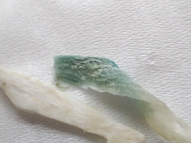 ⅲゴボウの保存 冷凍by チャマリリンクックパッド簡単おいしいみんなのレシピが392万品