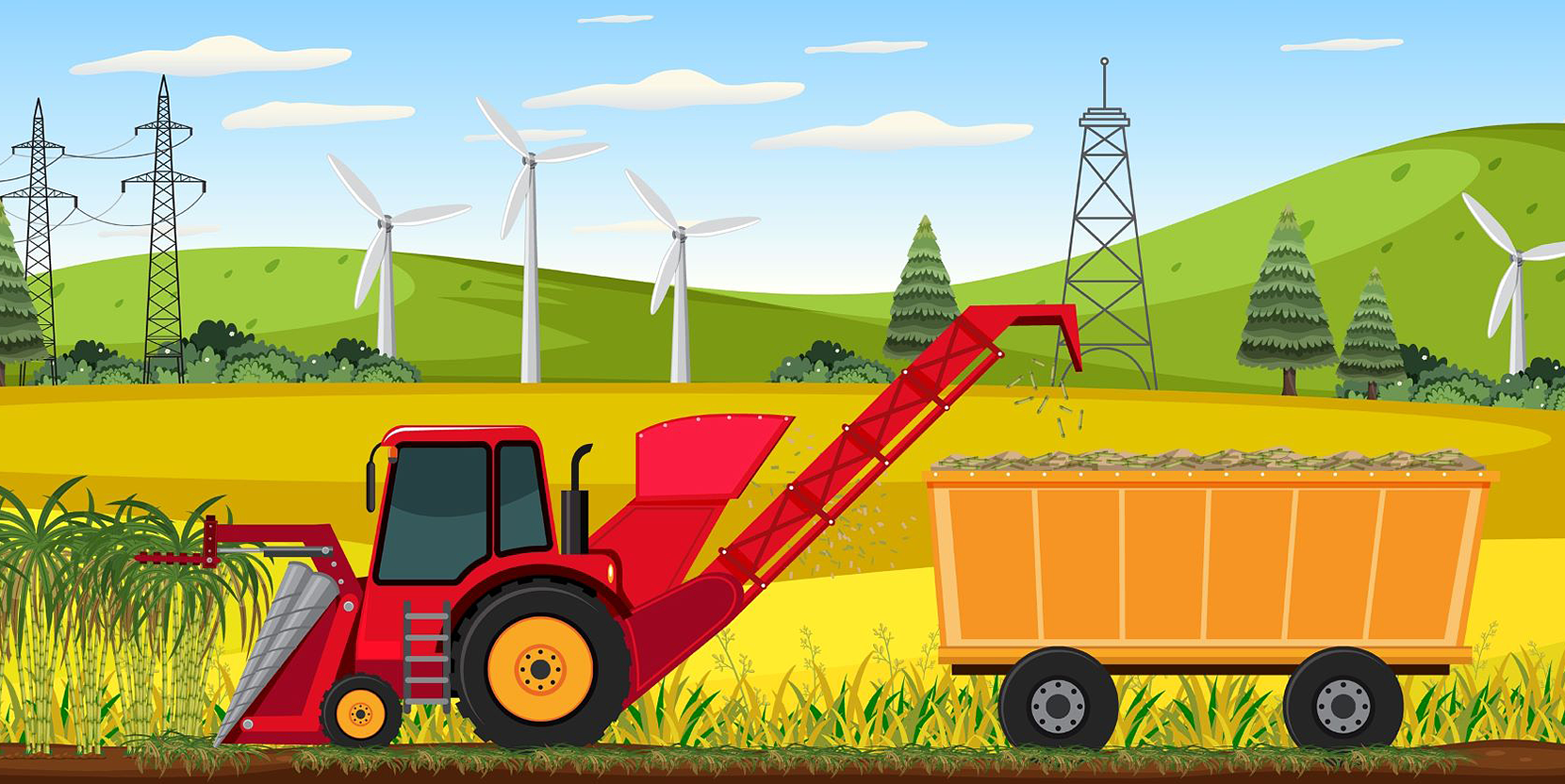 揺れる砂糖市場 上 サトウキビ生産 苦闘 沖縄、干ばつ余波 代替肥料など工夫も - 日本経済新聞