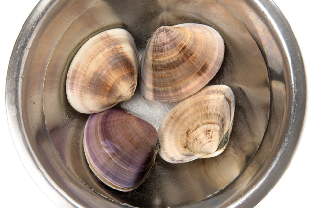 ハマグリの正しい保存方法ご存じですか？ 生のままでもOK？ 二枚貝って冷凍できるの？HugKum はぐくむ