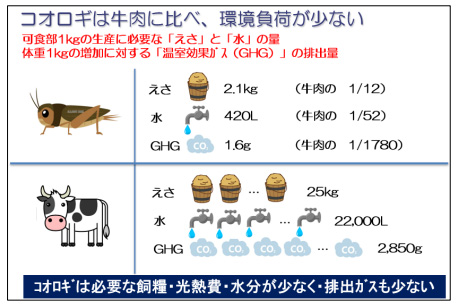「昆虫食」をより身近に感じられる「コオロギ」料理専門のレシピサイトTABI LABO
