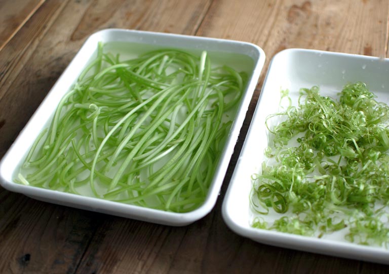 プランターサツマイモ栽培 つる返し。: Hanna-papaの菜園日記