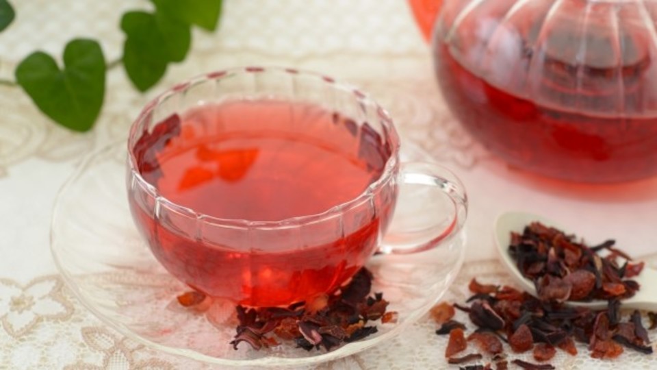 花の女王バラを紐解く「ティーローズの誕生」GardenStoryガーデンストーリー