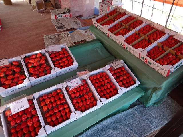 東金 市東農園 いちご販売の紹介