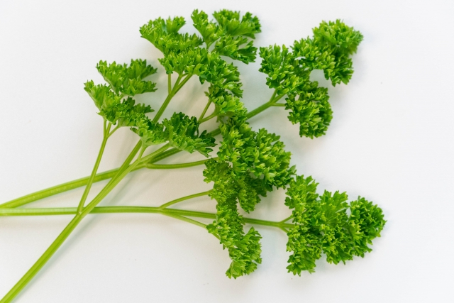 パセリの代用品 12選 バジル・青のり・オレガノは代わりになる？おすすめ代替品を紹介！代用品お探しサイト 困った時に役立つ カワルン