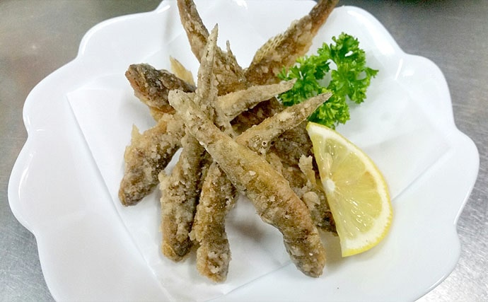 ハゼの天ぷらの下処理と捌き方、コツを解説簡単にできる料理手順外房 アジの遠投 カゴ釣り日記